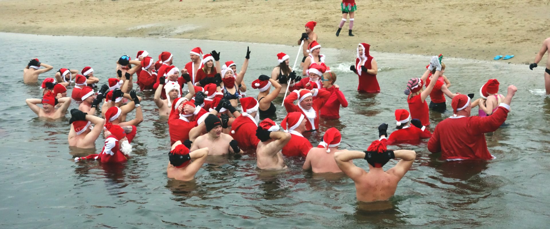 Morsy na żwirowni w Rzeszowie