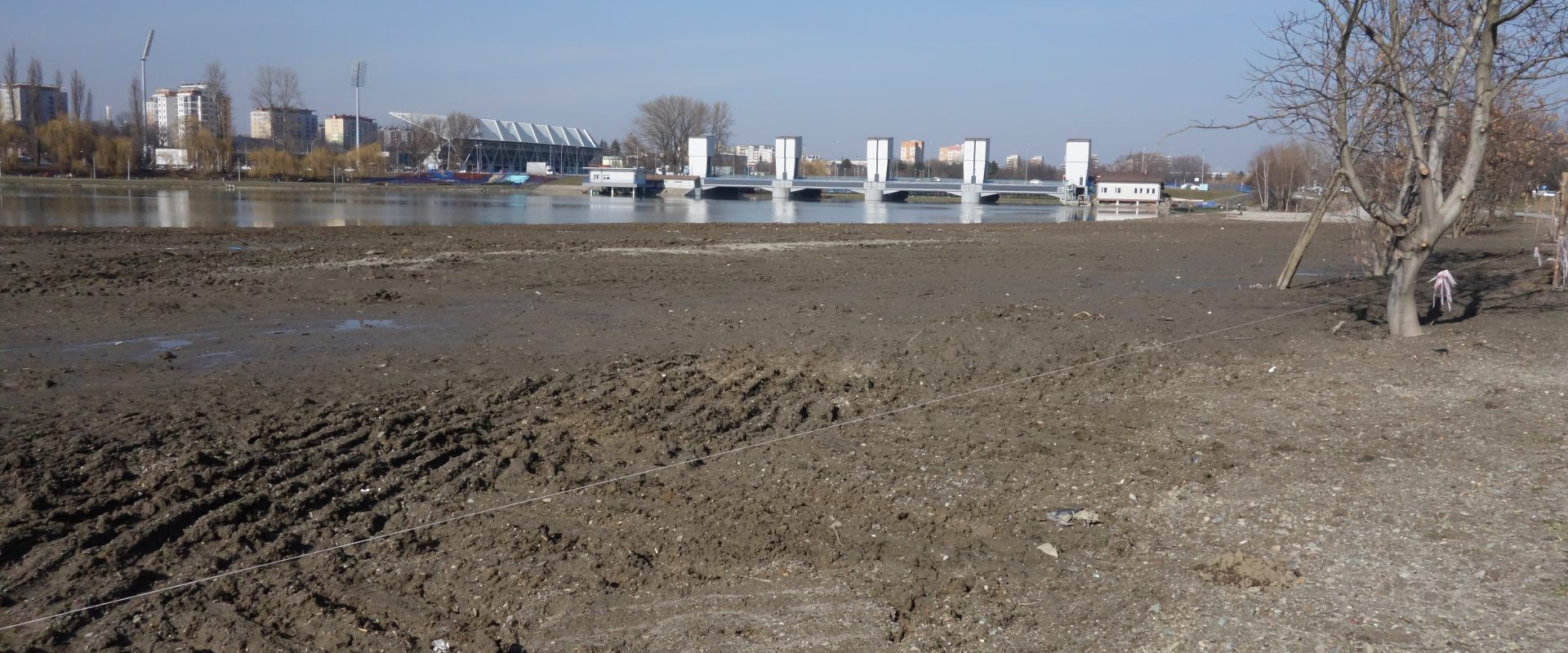 Brzeg Wisłoka po odmulaniu zalewu