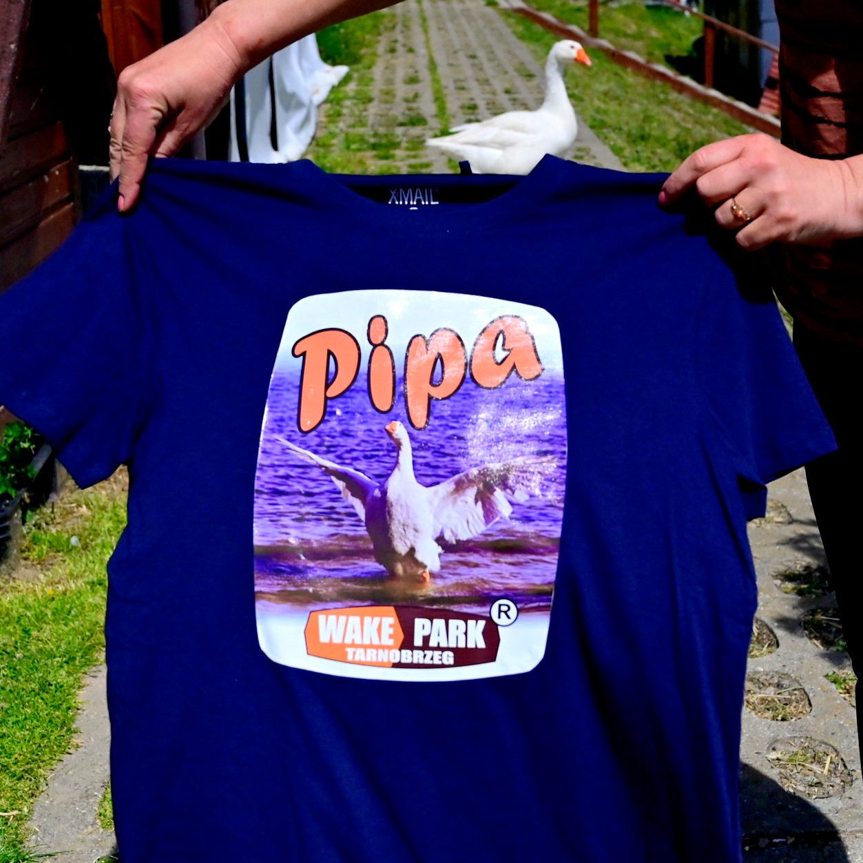 Koszulka z Pipą, najsłynniejszą gęsią w Polsce
