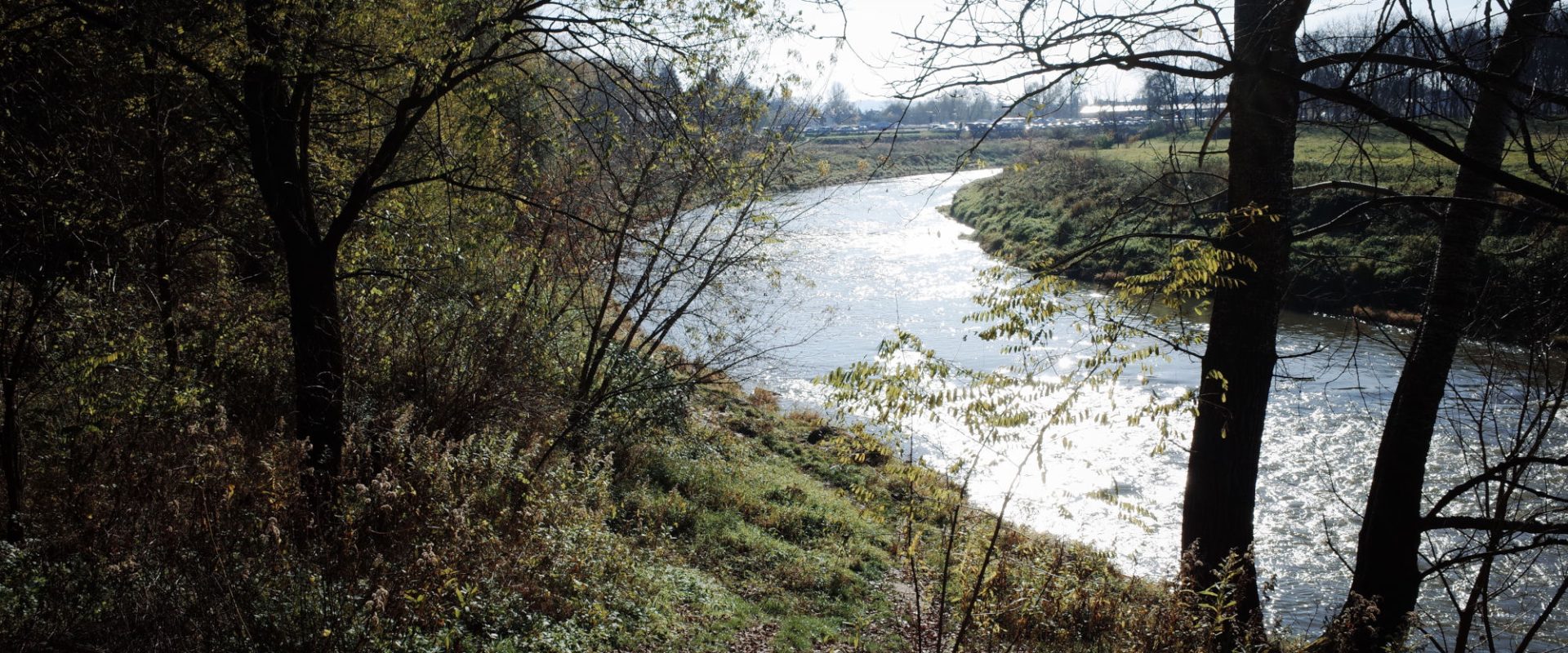Teren nad Wisłokiem w Rzeszowie.
