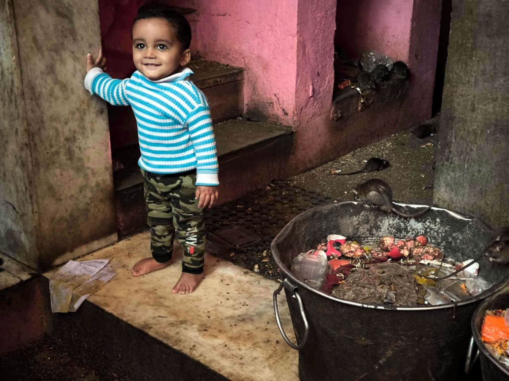 Mały hinduski chłopiec w świątyni w Radżastanie