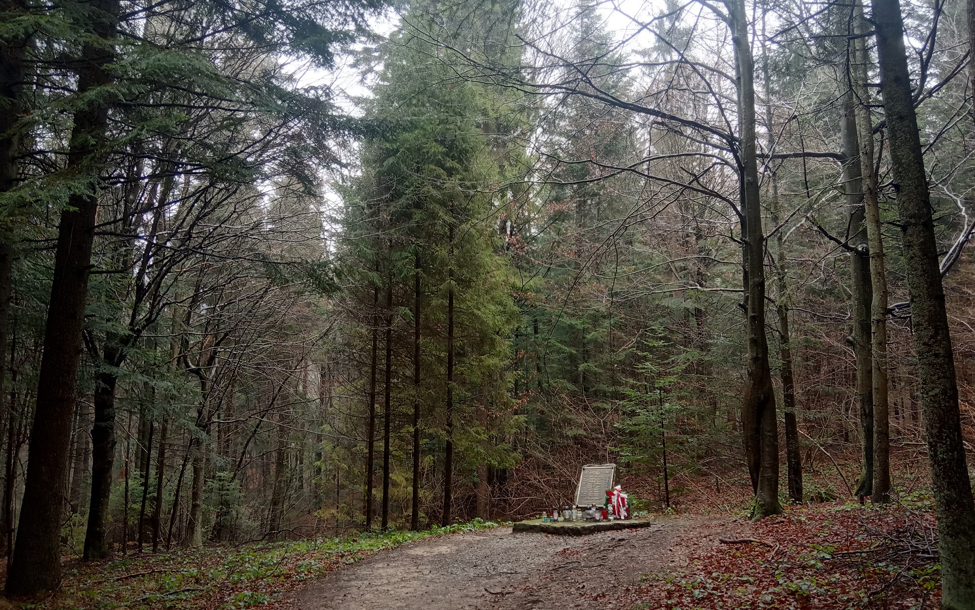 Chcieli tylko spojrzeć z góry na Bieszczady… 33 lata temu w Cisnej rozbił się śmigłowiec ekipy „997”