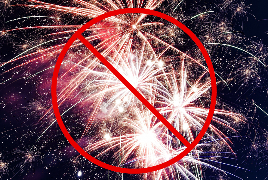 Nie strzelaj w Sylwestra! Szanuj środowisko naturalne i jego mieszkańców!