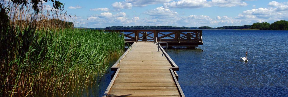 Uff jak gorąco, a w kąpielisku… bakterie kałowe