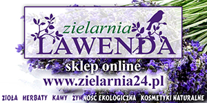 zielarnia lawenda